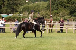 L42_8521 2026