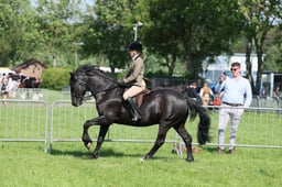 C33_0830 2026