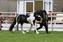 S28_8553 2026