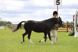 J36_5821 2026