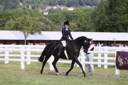E43_0560 2026