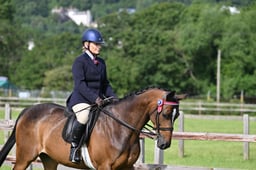 H143 Ridden PB & Anglo Arab