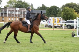 CL19 National Para Equestrian Championship