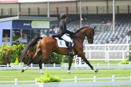 C22_7416 2026