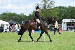 H36_8543 2026