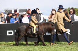 E30_0305 2026