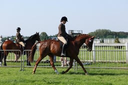 C33_0566 2026