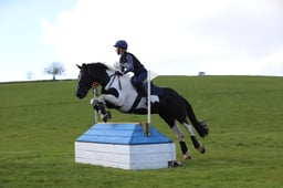 D13_0831 2026
