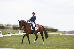 B15_0521 2026