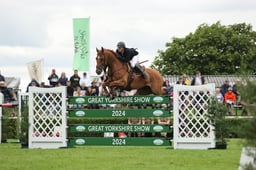 Showjumping - International Stairway