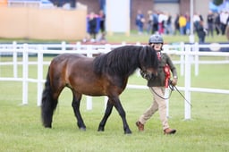 E45_0752 2026