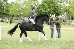 E30_3095 2026