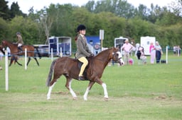 W36_2299 2026