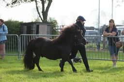 E34_0046 2026