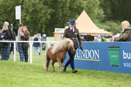E29_0640 2026