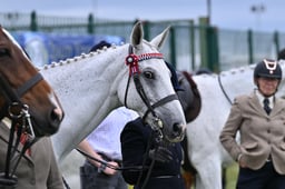 A44_2212 2026