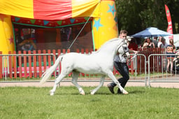 E34_1657 2026