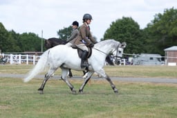 F66_0597 2026