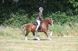 S60_0343 2026