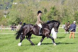 C19_0418 2026