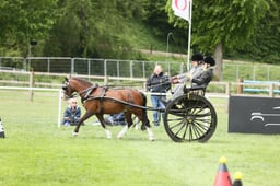E29_1610 2026
