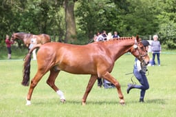 J36_6815 2026