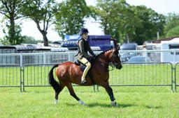 F33_0526 2026